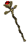 Long Staff